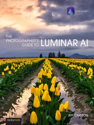 cover image of The Photographer's Guide to Luminar AI